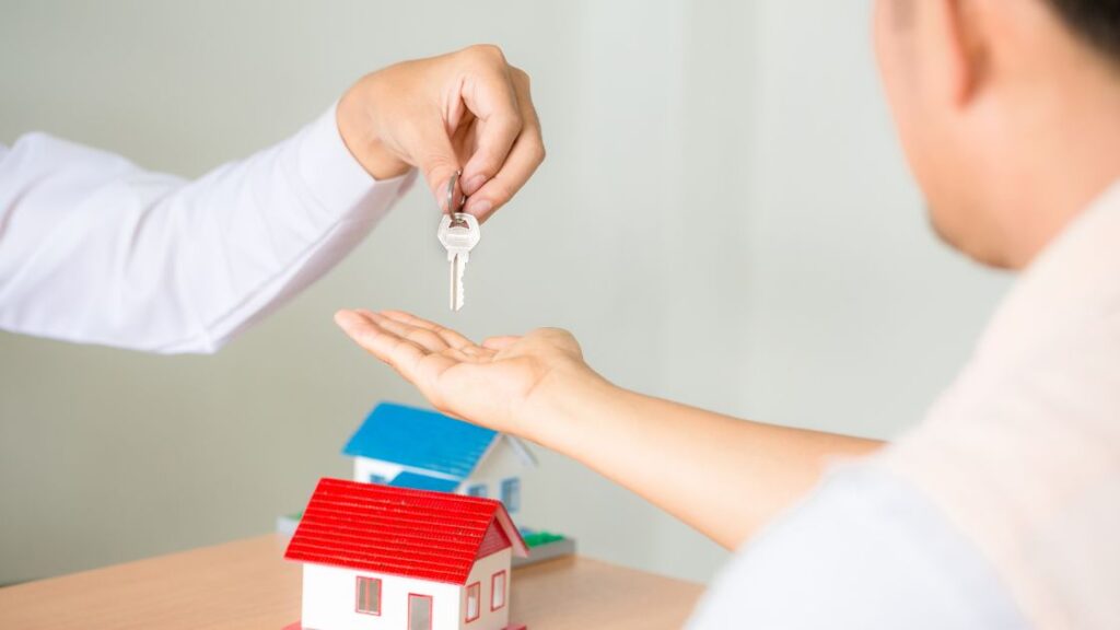 Pets in Your Rental Property
